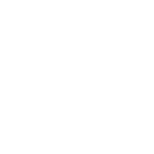 Day 1 Initiative